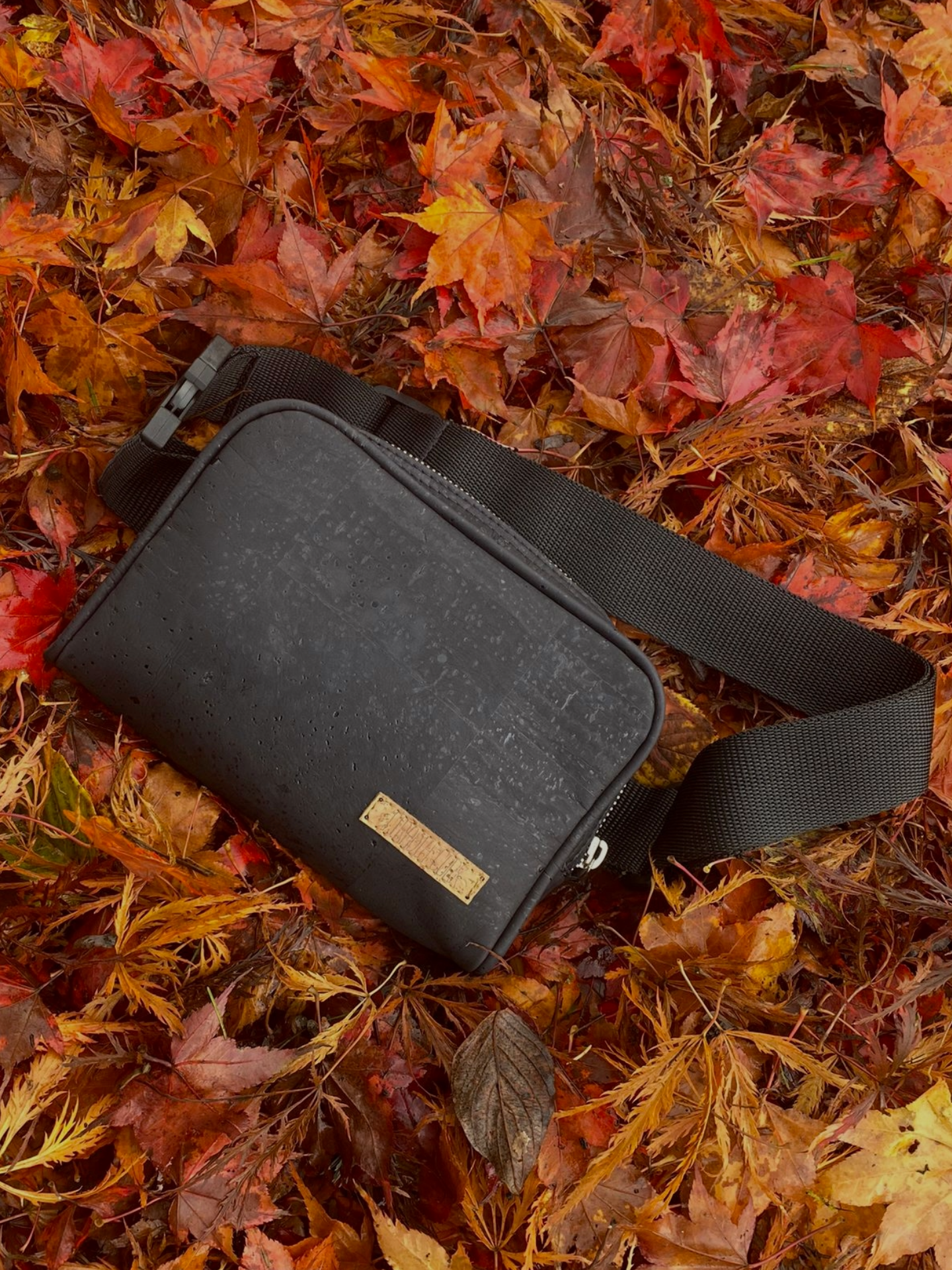 Omni Belt Crossbody Bag