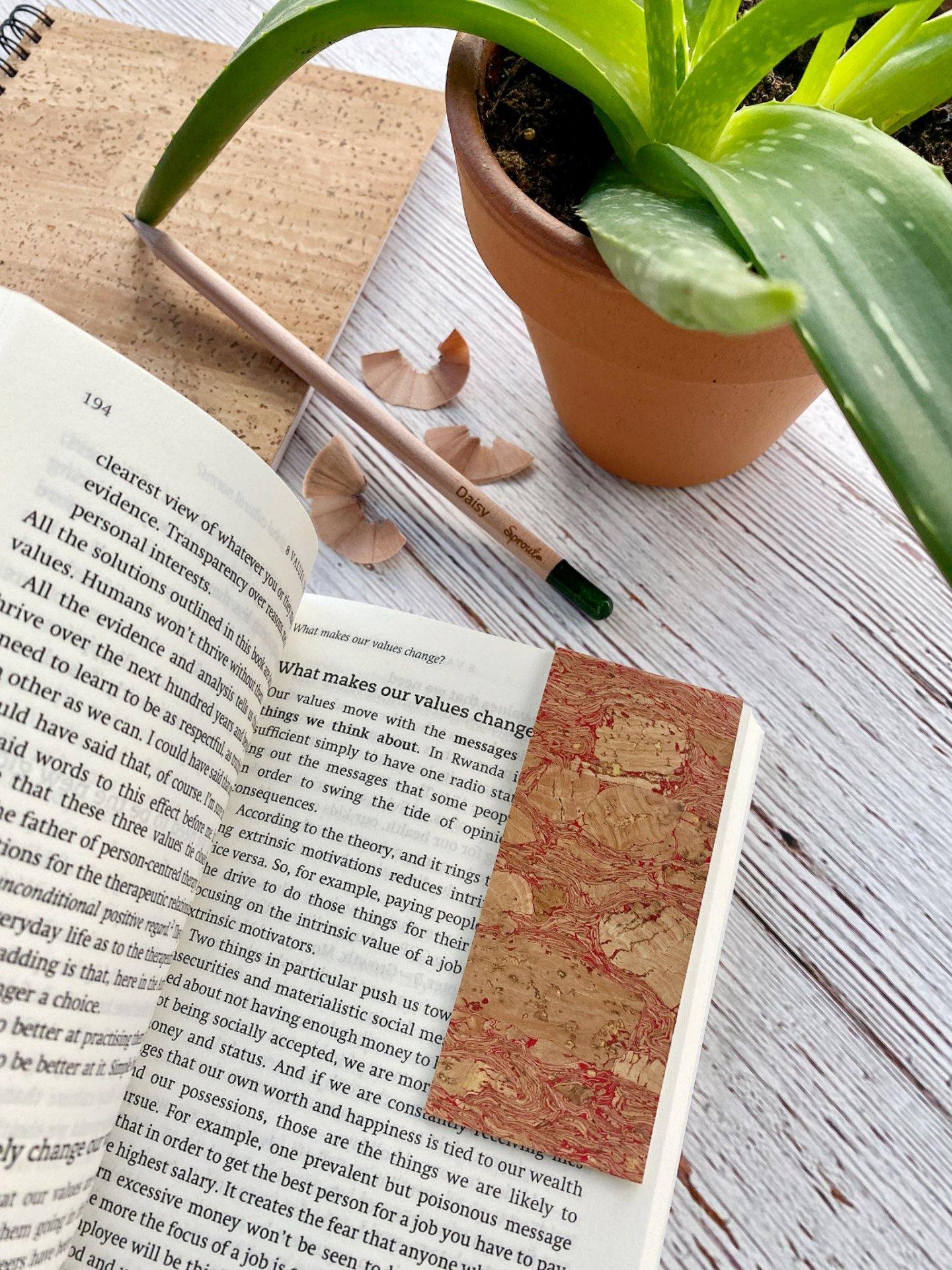 a potted plant sitting on top of a book