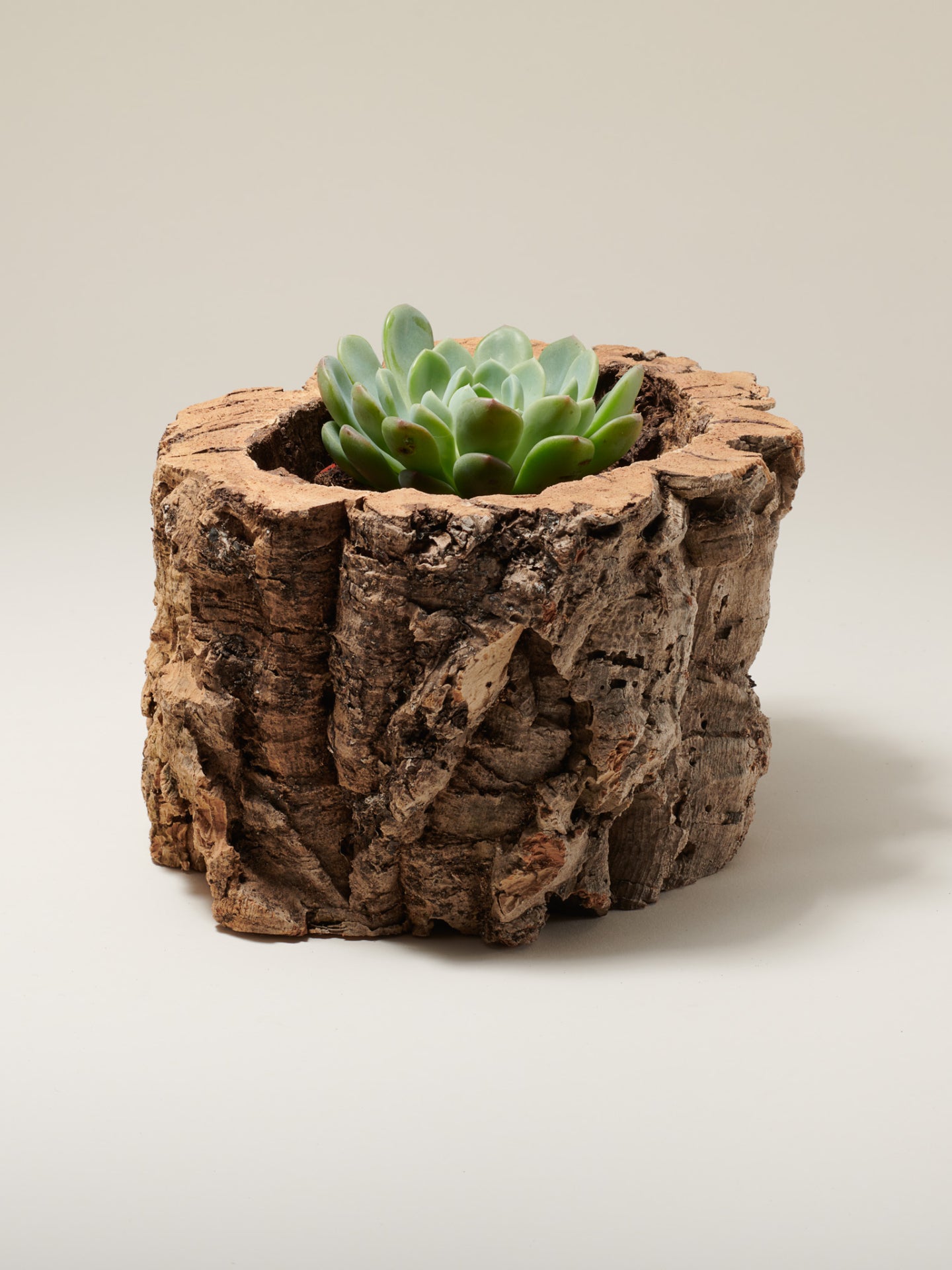 Eco Friendly Sustainable Hypoallergenic Decorative Natural Cork